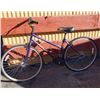 Image 1 : Purple Trek Multi Track 700 Bike