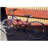 Image 2 : Purple Trek Multi Track 700 Bike