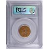 Image 4 : 1884-CC $5 GOLD LIBERTY PCGS FINE-12 (VERY TOUGH COIN)