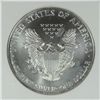 Image 3 : 1999 SILVER AMERICAN EAGLE NGC MS-68