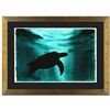 Image 1 : Turtle by Wyland