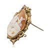 Image 2 : 10KT Yellow Gold Shell Cameo Brooch