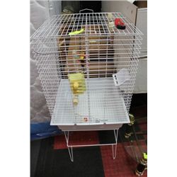 BIRD CAGE