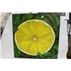 Image 1 : LEMON PAINTING