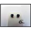 Image 1 : 174-11718:14K WHITE GOLD BLACK DIAMOND STUD