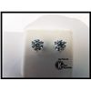 Image 1 : 174-11417:14K WHITE GOLD DIAMOND STUD EARRINGS