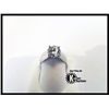 Image 1 : 106-12412: 14KT WHITE GOLD DIAMOND SOLITAIRE RING
