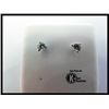 Image 1 : 171-26037:18K WHITE GOLD DIAMOND STUD EARRINGS