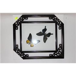 PAIR OF ORIENTAL FRAMED BUTTERFLIES X 2