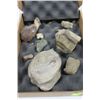 Image 1 : BOX W/ DINOSAUR FOSSIL COLLECTION