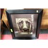 Image 1 : SHOWHOME DOG PICTURE