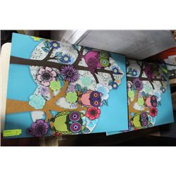 2 SHOWHOME OWL PICTURES