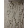 Image 2 : Nudes and Portrait Studies