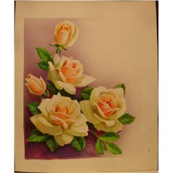 Still Life Series