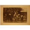 Image 1 : The Duck's Paradise