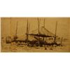 Image 1 : Old Hay