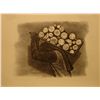 Image 1 : Man with Logs