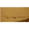 Image 1 : Sand and Sea, Cape Pod