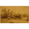 Image 1 : Oaks in Windsor Park