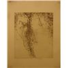 Image 1 : Morning Mist