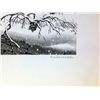 Image 2 : Winter Scene