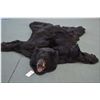Image 1 : Black Bear Skin Rug w/head mount