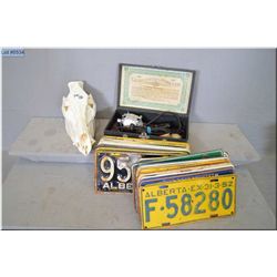 Lot of Three Items : Wild Boar Skull - Box : Vintage License Plates [ Alberta 1952, 1954, 1960's ] -