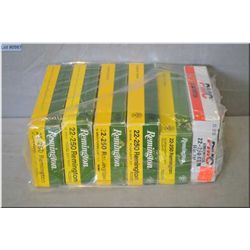 Bag Lot : 5 Boxes ( 20 rnds per ) Remington & 1 Box ( 20 rnds ) PMC . 22/250 Rem Ammo