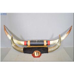 Lot of Two Sets Mounted Steer Horns : Large Set 48" w/red & black leather w/brass tacks - Smaller Se
