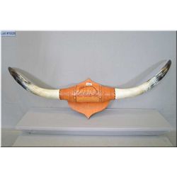 Set of Steer Horns [ approx. 42" mounted on leather decorated wrap on wooden plaque ]