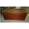 Image 1 : large Primitive trunk SSR
