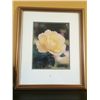 Image 1 : Museum Framed Floral Print (24" X 20.5" including frame)