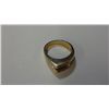 Image 1 : 10kt Gold and Genuine Diamond Ring (Insurance Replacement Value $936) (Size 7)