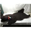 Image 1 : CUTE STUFFED BEAR SKIN RUG