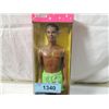 Image 2 : SPARKLE BEACH STEVEN DOLL IN BOX