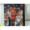 Image 2 : FRAMED MICHAEL JORDAN PHOTO AND STATS