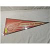 Image 1 : DETROIT RED WINGS PENNANT