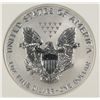 Image 3 : 2006-P REVERSE PROOF SILVER AMERICAN EAGLE NGC PF-69