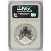 Image 4 : 2006-P REVERSE PROOF SILVER AMERICAN EAGLE NGC PF-69