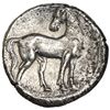 Image 2 : ACUÑACIONES HISPANOCARTAGINESAS. Dracma de sistema ático. A/ Cabeza de Tanit a izq. R/ Caballo parad
