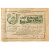 Image 1 : The South Riverside Land & Water Co. Stock Certificate