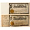 Image 1 : Bryn Mawr Water Company Stock Certificates