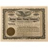 Image 1 : Bering Shore Mining Co. Stock Certificate