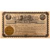 Image 1 : Michigan Gold Company Stock Certificate *Territorial*