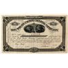 Image 1 : South Pacific Mining Company Stock Certificate