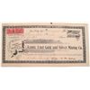 Image 1 : Jennie Lind Gold & Silver Mining Stock -Forest Hill, Cal. 1900
