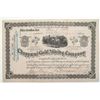 Image 1 : Chaparral Gold Mining Company