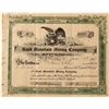 Image 1 : Rand Mountain Mining Company