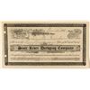 Image 1 : Scott River Dredging Co. Stock Certificate