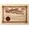 Image 1 : The Findley Gold Mining Company Stock Certificate